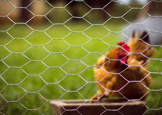 Yard Guard Siatka drobiowa Ogrodzenie z drutu metalowego Ogrodzenie drapieżnika dla kurczaków